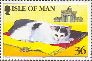 Кошка на фоне Бранденбургских ворот